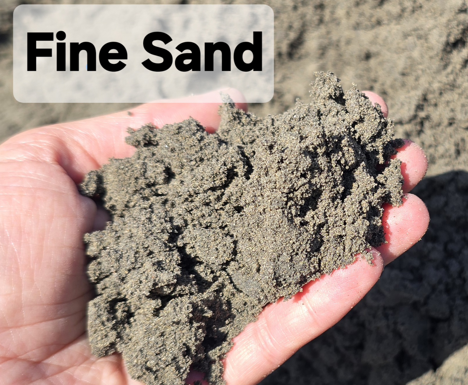 Fine Sand