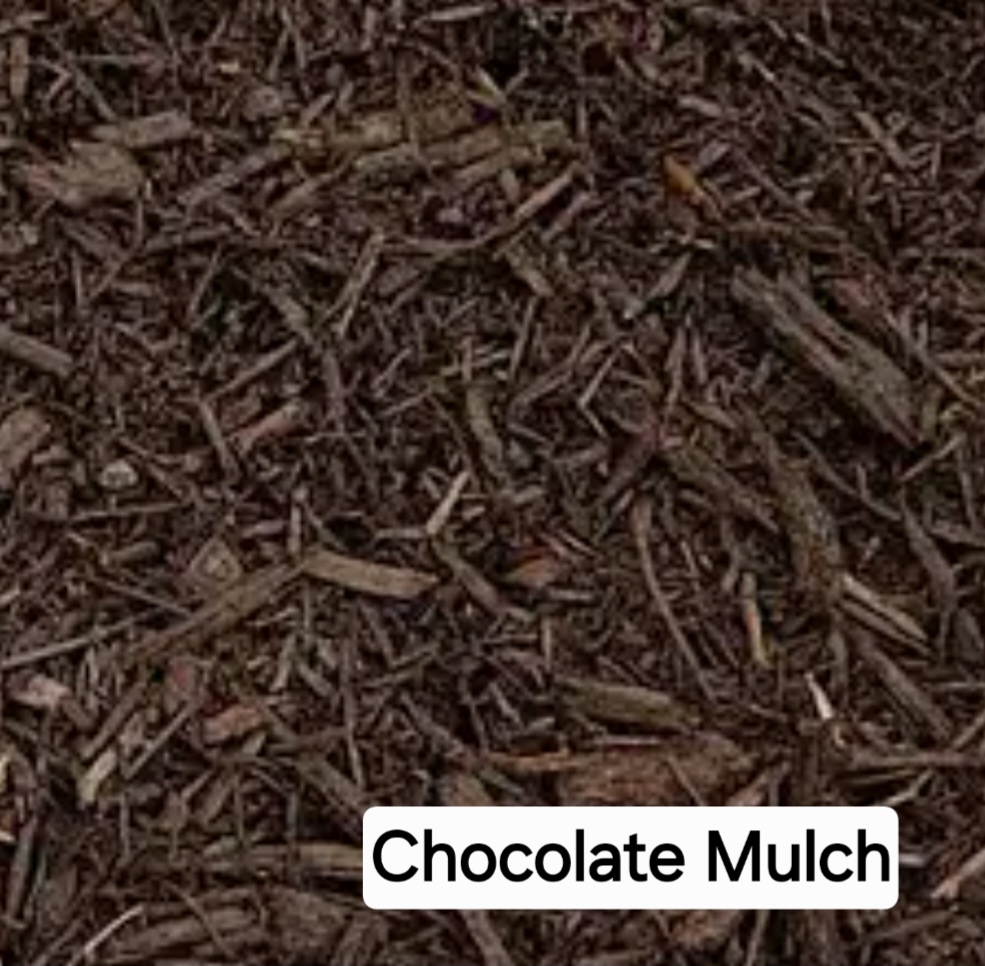 Chocolate Mulch